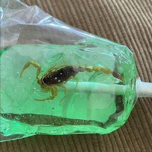 *Expired Decor Item - Green Apple Scorpion Lollipop with Real Scorpion*